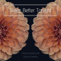 Sleep Better Tonight: Feeling Rested and Staying Healthy - Sleeping Culture