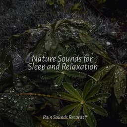 Nature Sounds for Sleep and Relaxation - Instrumental