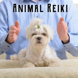 Animal Reiki: Background Music to Soothe, Heal, Relax and Energize - Pet Music Academy