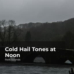 Cold Hail Tones at Noon - Rain Sounds