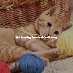 The Soothing Scratch of Our Purring - 1940s Coffee Jazz