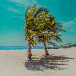 1 Ambient Coast: Tropical Treasures - Ocean Waves For Sleep