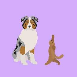 Extraordinary Trio Jazz - Background for Resting Hound - Puppy Music