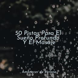 50 Pistas Para El Sueño Profundo Y El Masaje - Canciones Infantiles