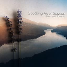 Soothing River Sounds - Rivers and Streams