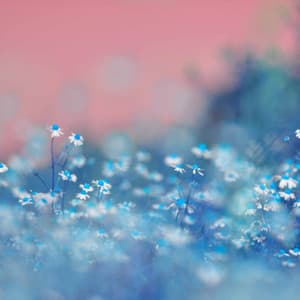 Music for Slow Moving - Jazz-hop - Lo-fi Pop Sounds