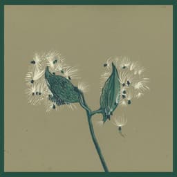 Song Of The Earth - Instrumentals - Dirty Projectors