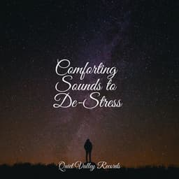 Comforting Sounds to De-Stress - FX & Effects
