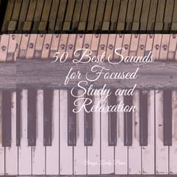 Caring Music | Meditation Focus - Piano Love Songs