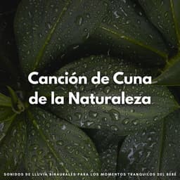 Canción De Cuna De La Naturaleza: Sonidos De Lluvia Binaurales Para Los Momentos Tranquilos Del Bebé - Ruido de Lluvia