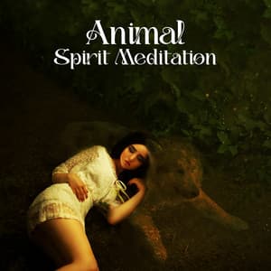 Animal Spirit Awareness - Elijah Ages