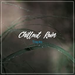 13 Chillout Rain Tracks to Sleep Eight Hours - Nature Sounds XLE Library