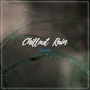 13 Chillout Rain Tracks to Sleep Eight Hours - Nature Sounds XLE Library