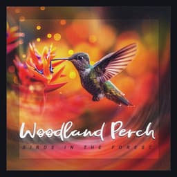 Woodland Perch - Birds In The Forest