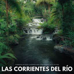 Las Corrientes Del Río: Corrientes De Agua Calmantes Para Concentrarse En La Lectura - Agua Mantra