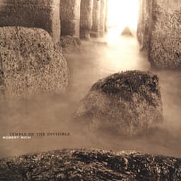 Temple Of The Invisible - Robert Rich