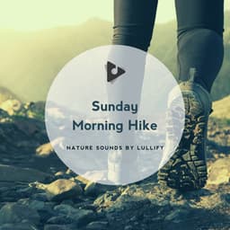 Sunday Morning Hike - Nature Sounds by Lullify