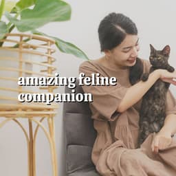 Amazing Feline Companion - Music for Cats Peace