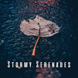 Stormy Serenades Piano Melodies for Chill Relaxation - Tranquility Piano