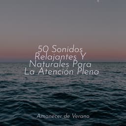50 Sonidos Relajantes Y Naturales Para La Atención Plena - Música Relajante para Bebés