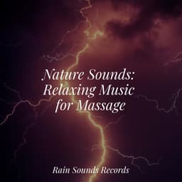 Nature Sounds: Relaxing Music for Massage - Nature Sound Collection