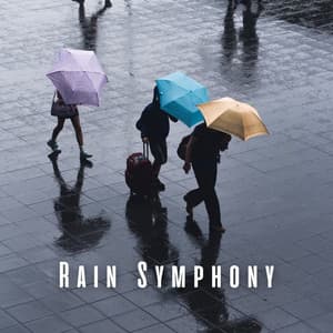 Rain Symphony: Chill Sounds for Productive Work - Productive Work Music