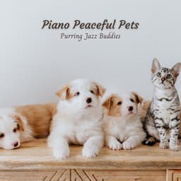 Piano Peaceful Pets: Purring Jazz Buddies - Piano dust Covers