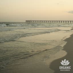 Sea of Still - Sea of Waves