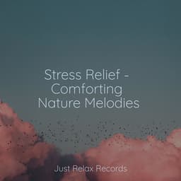 Stress Relief - Comforting Nature Melodies - Música relaxante