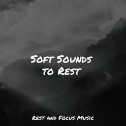 Soft Sounds to Rest - Deep Focus