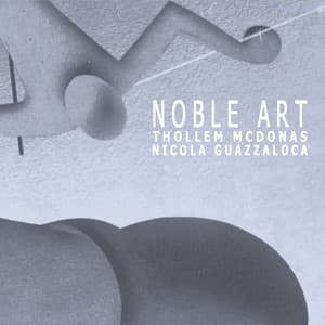 Noble Art - Comprovisation Concert For Two Pianos - Thollem Mcdonas