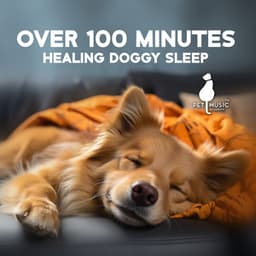 Over 100 Minutes Healing Doggy Sleep: Deep Puppy Tranquility, Powerful Canine Rest, Invincible Dog Comfort - Pet Music Academy
