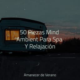 50 Piezas Mind Ambient Para Spa Y Relajación - Meditación Maestro