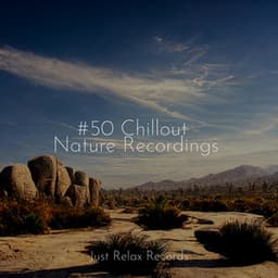 #50 Chillout Nature Recordings - Rest & Relax Nature Sounds Artists