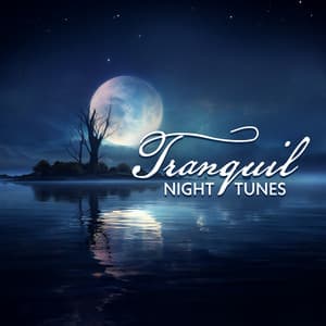 Tranquil Night Tunes: Relaxing Twilight Harmonies, Quiet Moonlit Music - Deep Sleep System