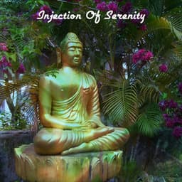 Injection Of Serenity - Meditación Interna