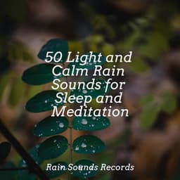 50 Light and Calm Rain Sounds for Sleep and Meditation - Musica Para Dormir y Sonidos de la Naturaleza
