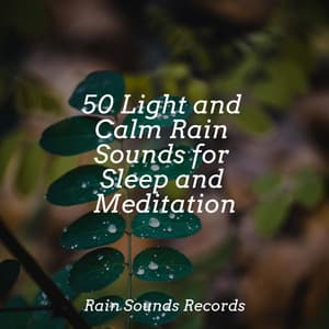 50 Light and Calm Rain Sounds for Sleep and Meditation - Musica Para Dormir y Sonidos de la Naturaleza