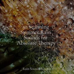 50 Stunning Summer Rain Sounds for Absolute Therapy - Lullabies for Deep Meditation