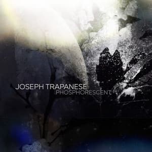 Phosphorescent - Joseph Trapanese