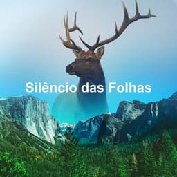 Silêncio das Folhas - Sons da Natureza