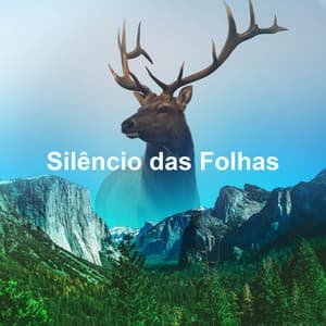 Silêncio das Folhas - Sons da Natureza