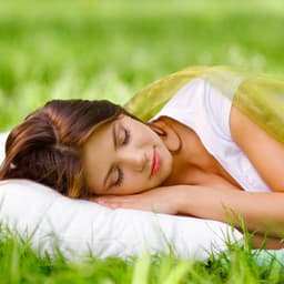 Serene Nature Sleepscape: Insects and Crickets in Concert - cloudy night