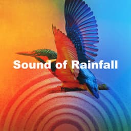 Sound of Rainfall - Avslappning Sound