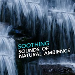 Soothing Sounds of Natural Ambience - Relaxing Nature Sounds