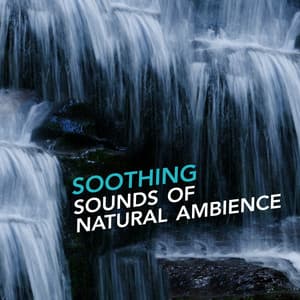 Soothing Sounds of Natural Ambience - Relaxing Nature Sounds