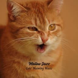 Mellow Jazz: Cats' Meowing Music - Smooth Jazz