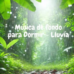 Música de fondo para Dormir - Lluvia - Fabricantes De Lluvia