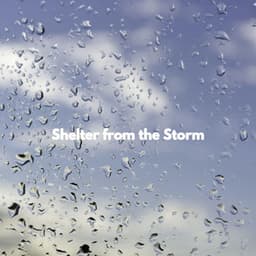 Shelter from the Storm - Agradable Musica para Leer