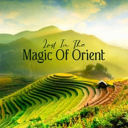 Lost In The Magic Of Orient - Organic Sound